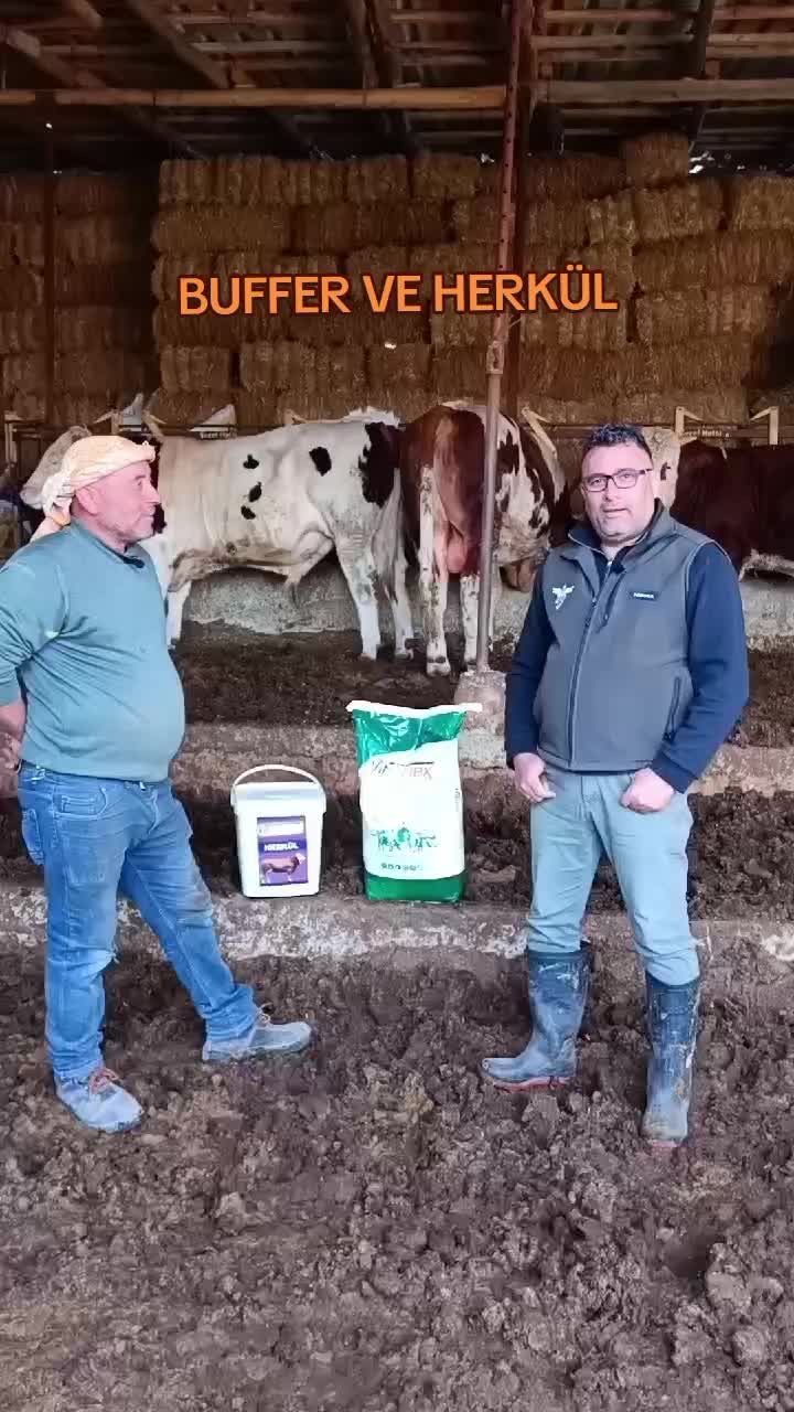 @Vet. Hekim Bülent SEZER