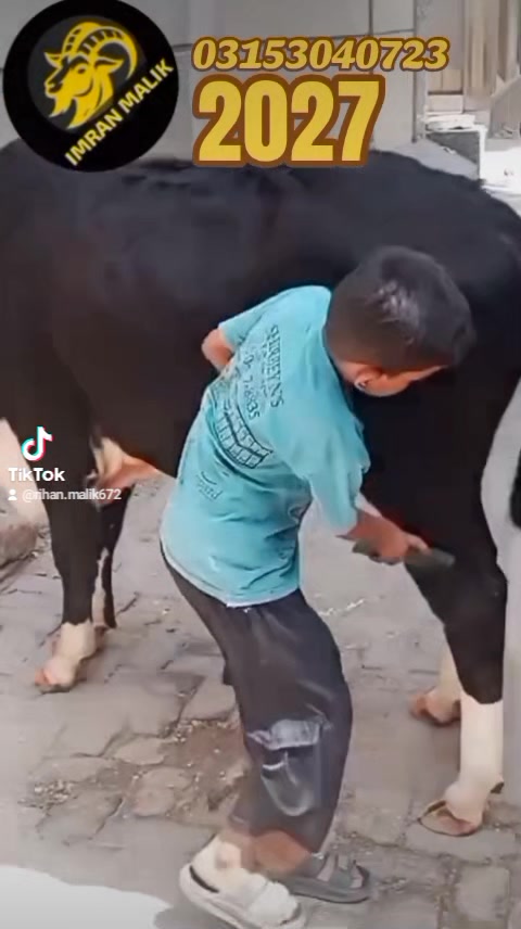 @rihan malik
