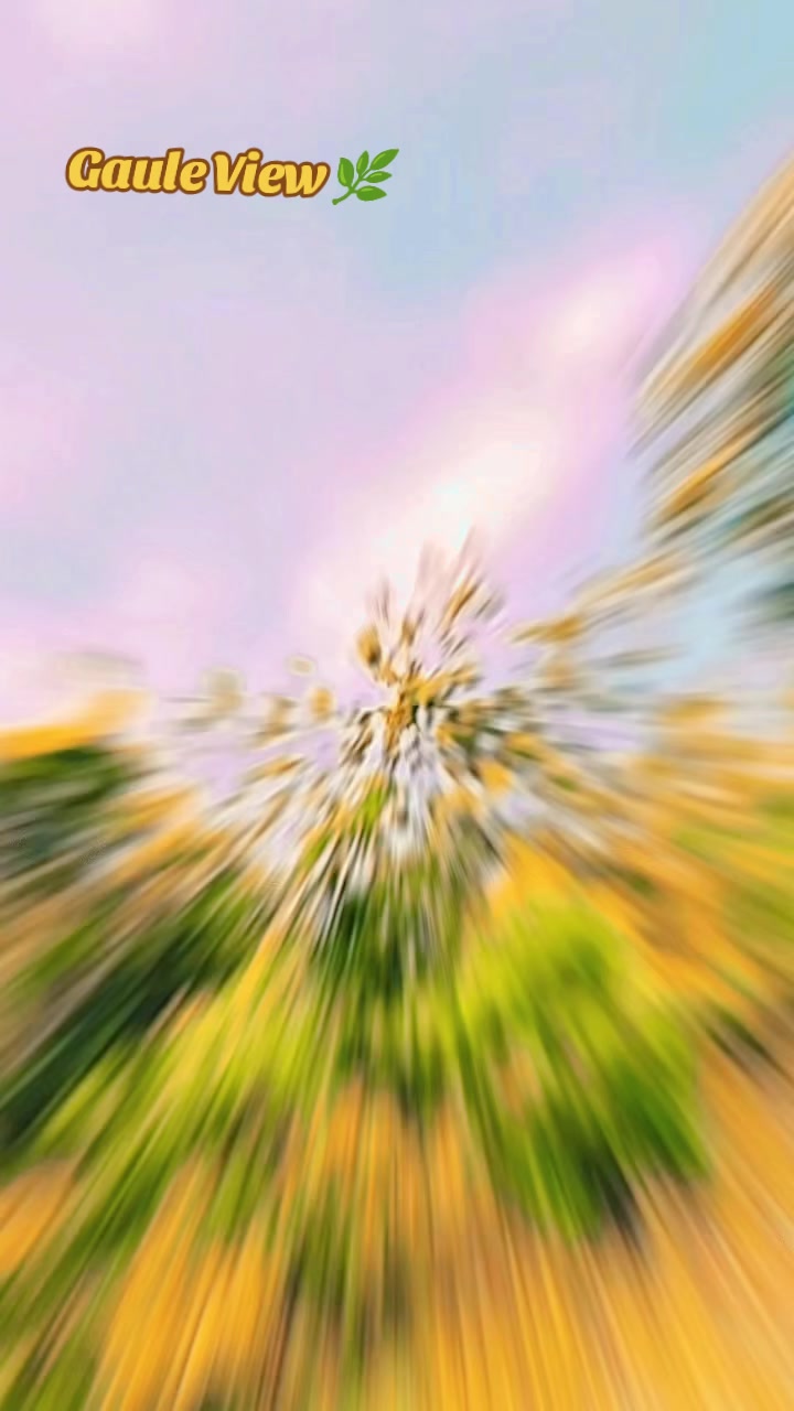 @๐ธโ๐ฆโ๐จโ๐ญโ๐ฎโ๐ณโ ๐ฉโ๐ฐโ๐ญโ๐ท