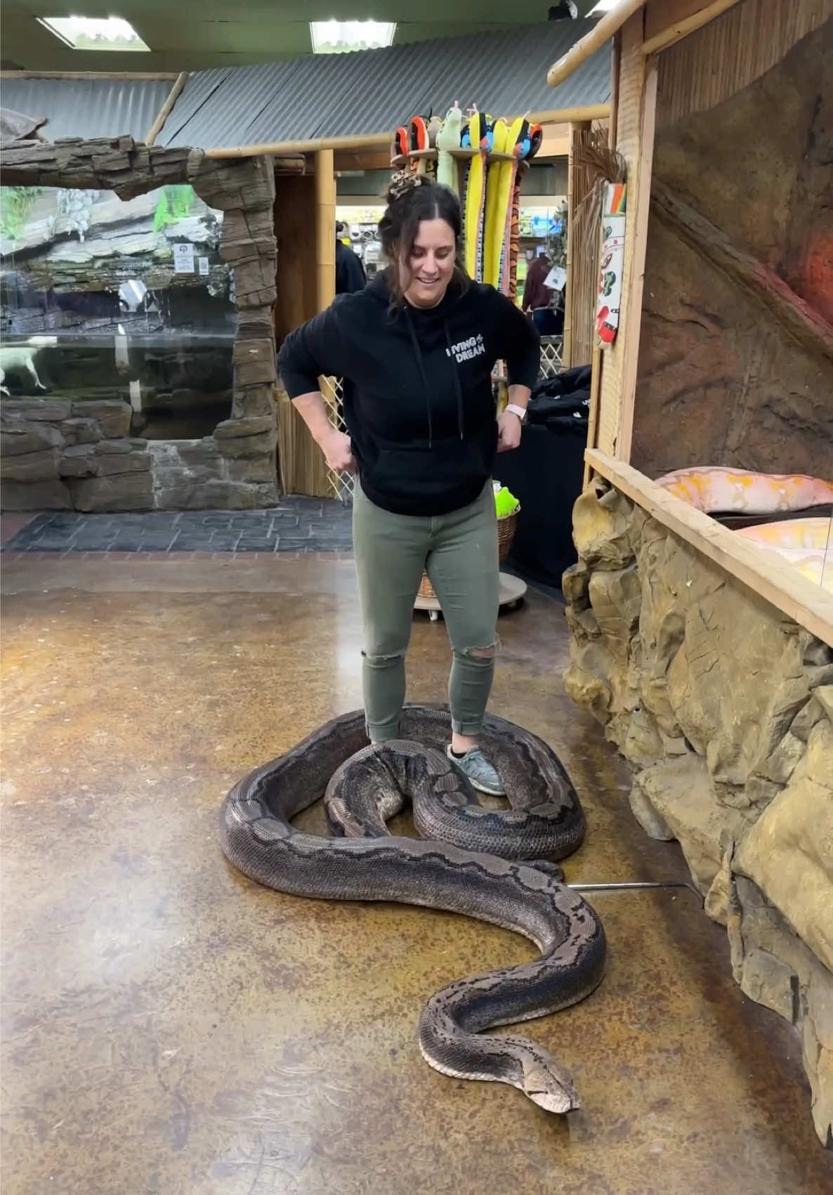 @The Reptile Zoo