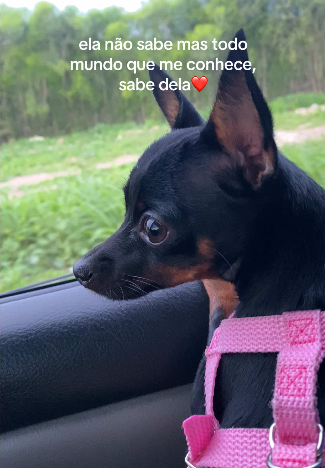 @Luana_lua