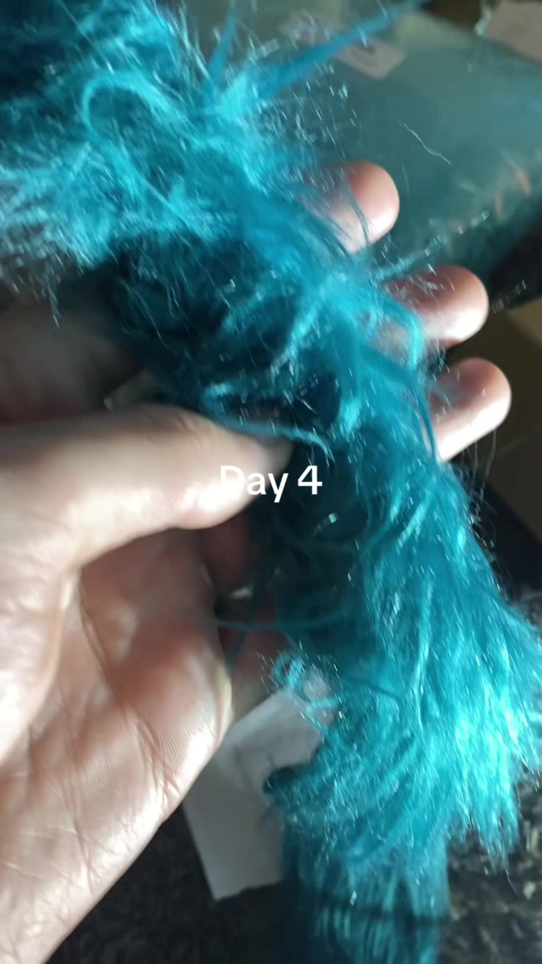 @🐺🪸FuzzyWuzzy💙🔜BLFC