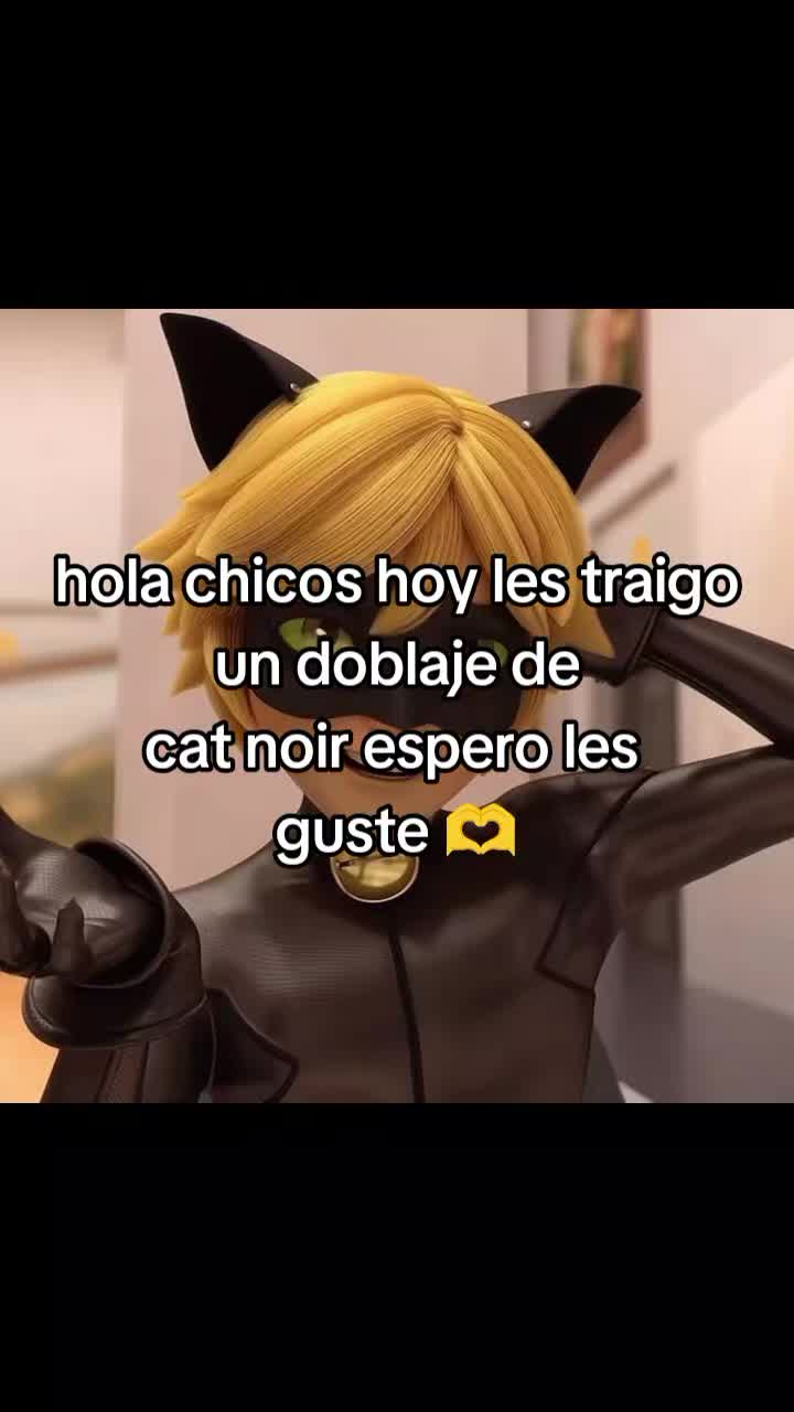 @Cat Abraham🐈⬛