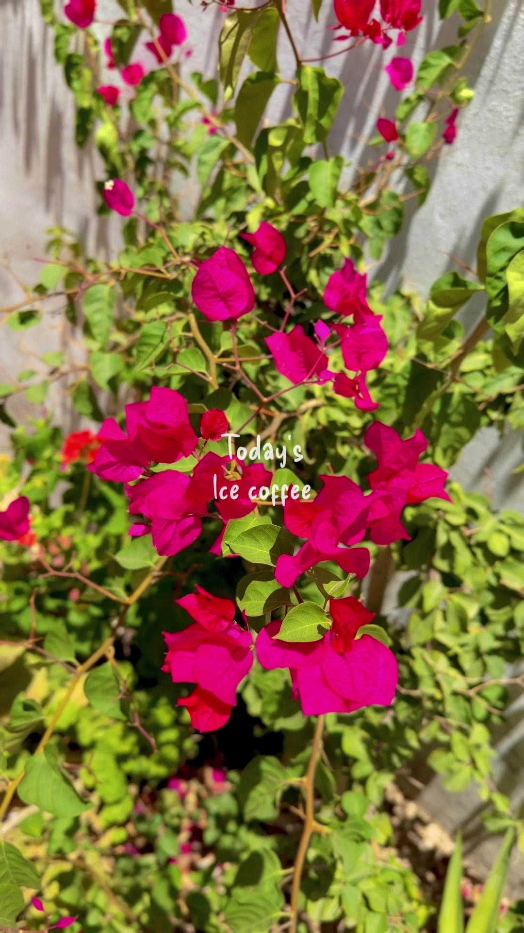 @HayoOsh M Diyab📷  ᥫ᭡