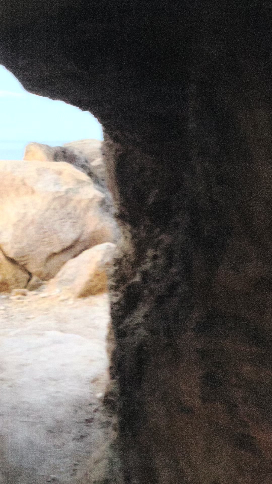 @🦭