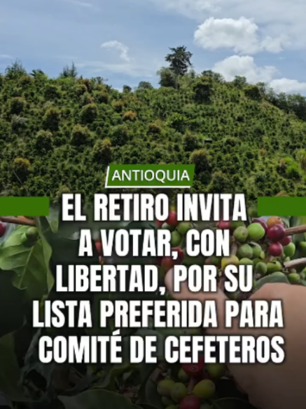 @MINUTO30