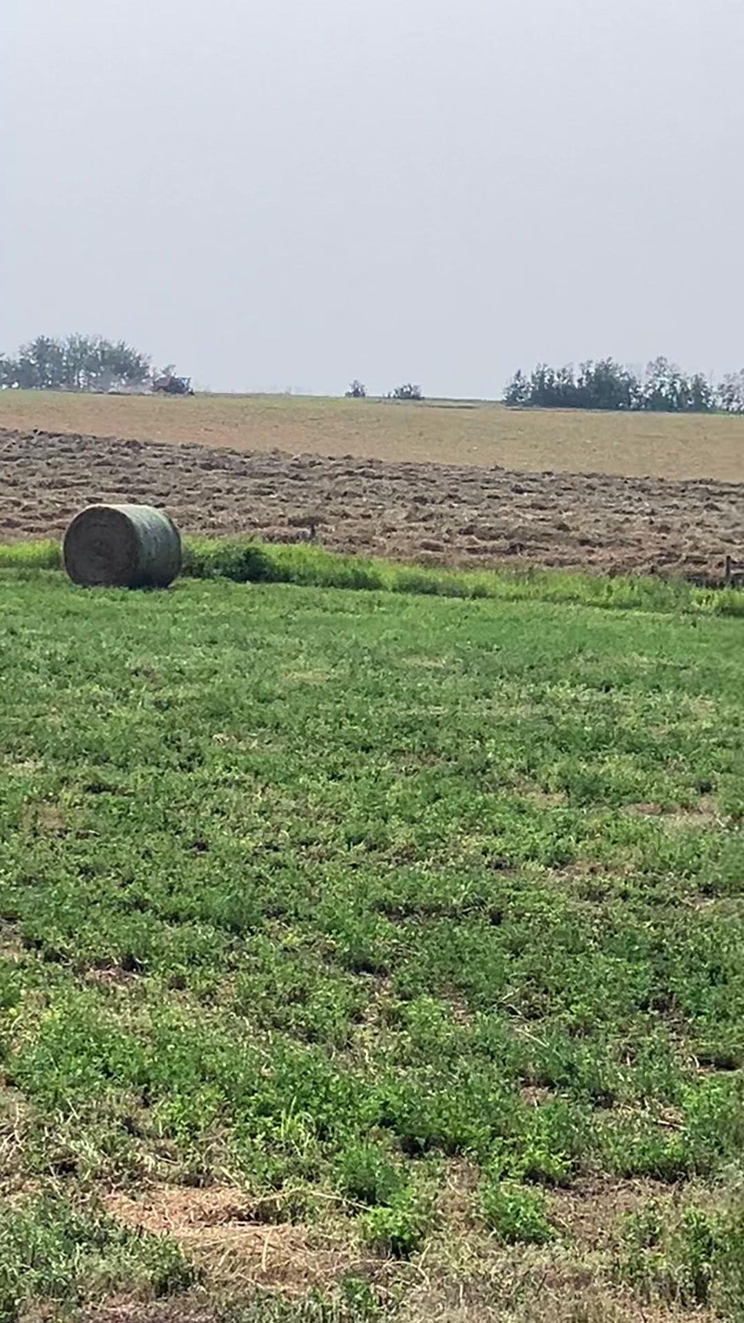 @bf48farmer