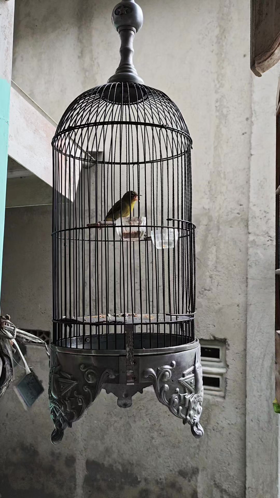@NDX BIRD FARM