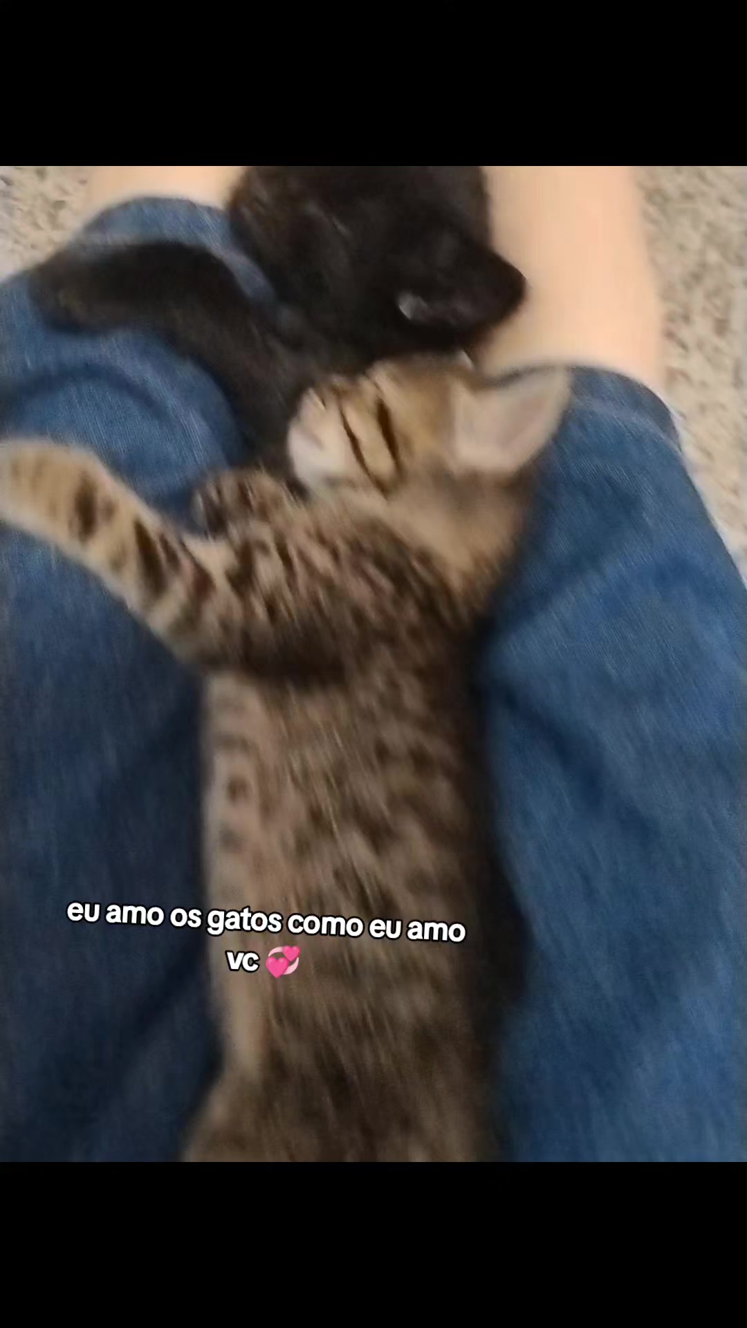 @Catarina 💓💞 Eddsworld 💯💯