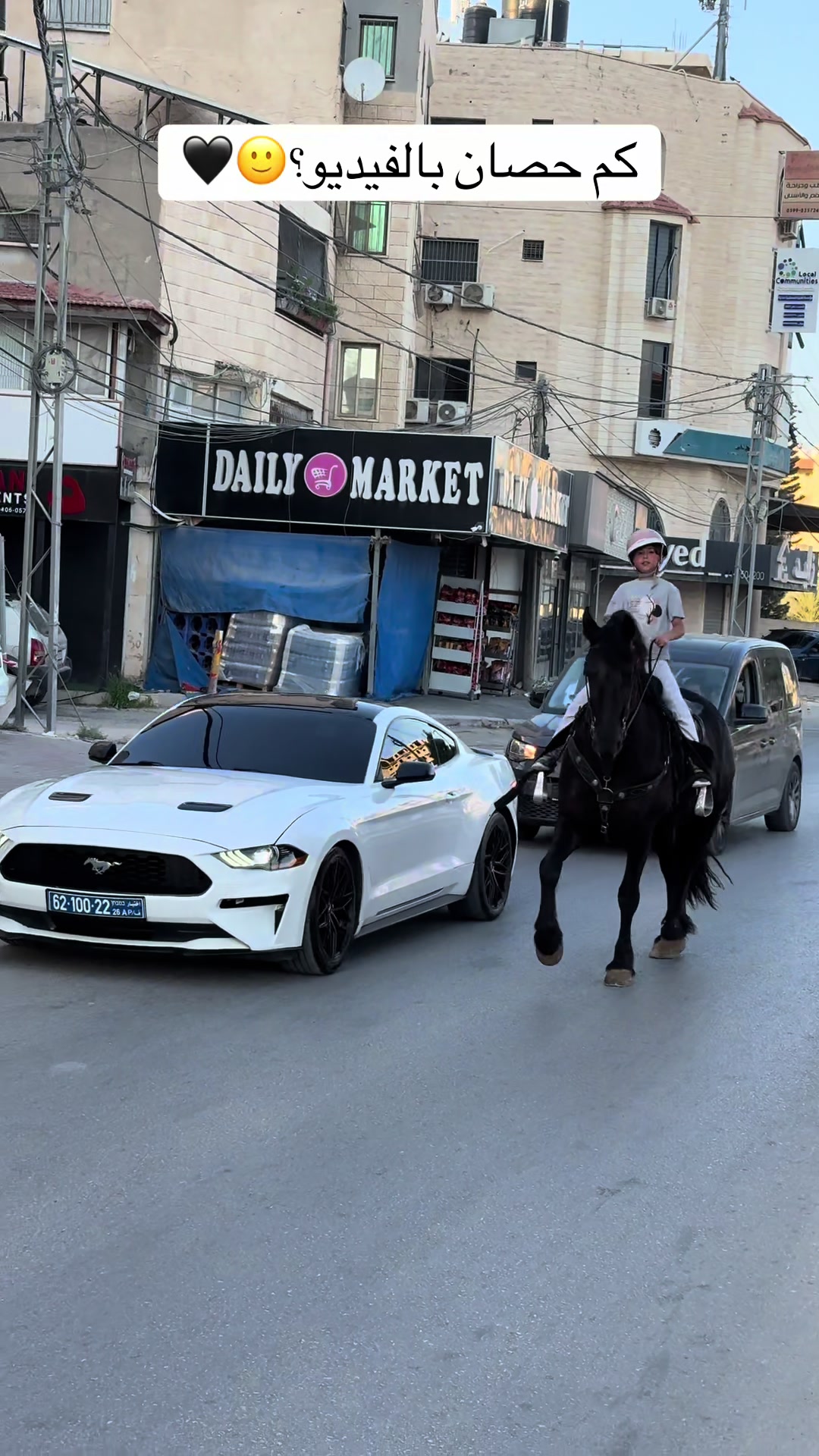 @المحاسب ياسر ابو بكر