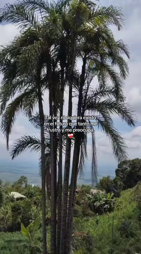 @VillegasLorena