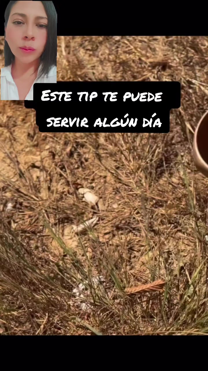 @Locos por la física