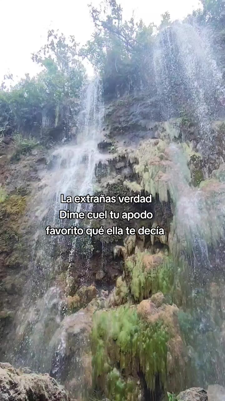 @Junior h +502🥷🥷👾
