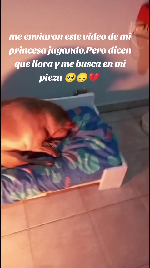 @Juan