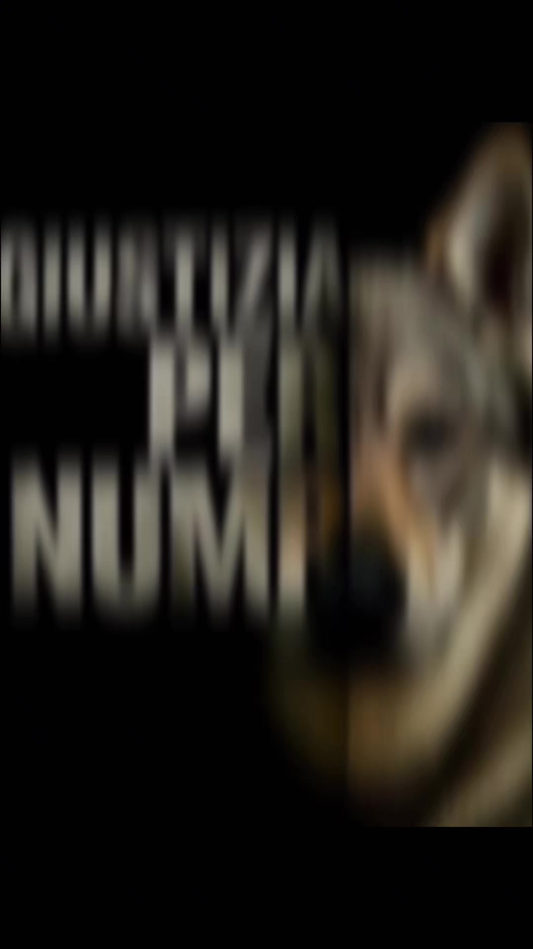@WalkingWolf