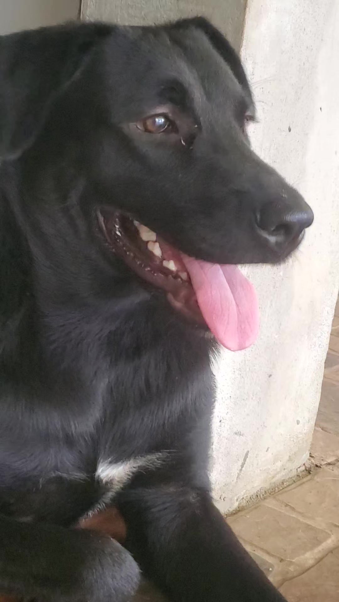 @Soy Sasha🐶
