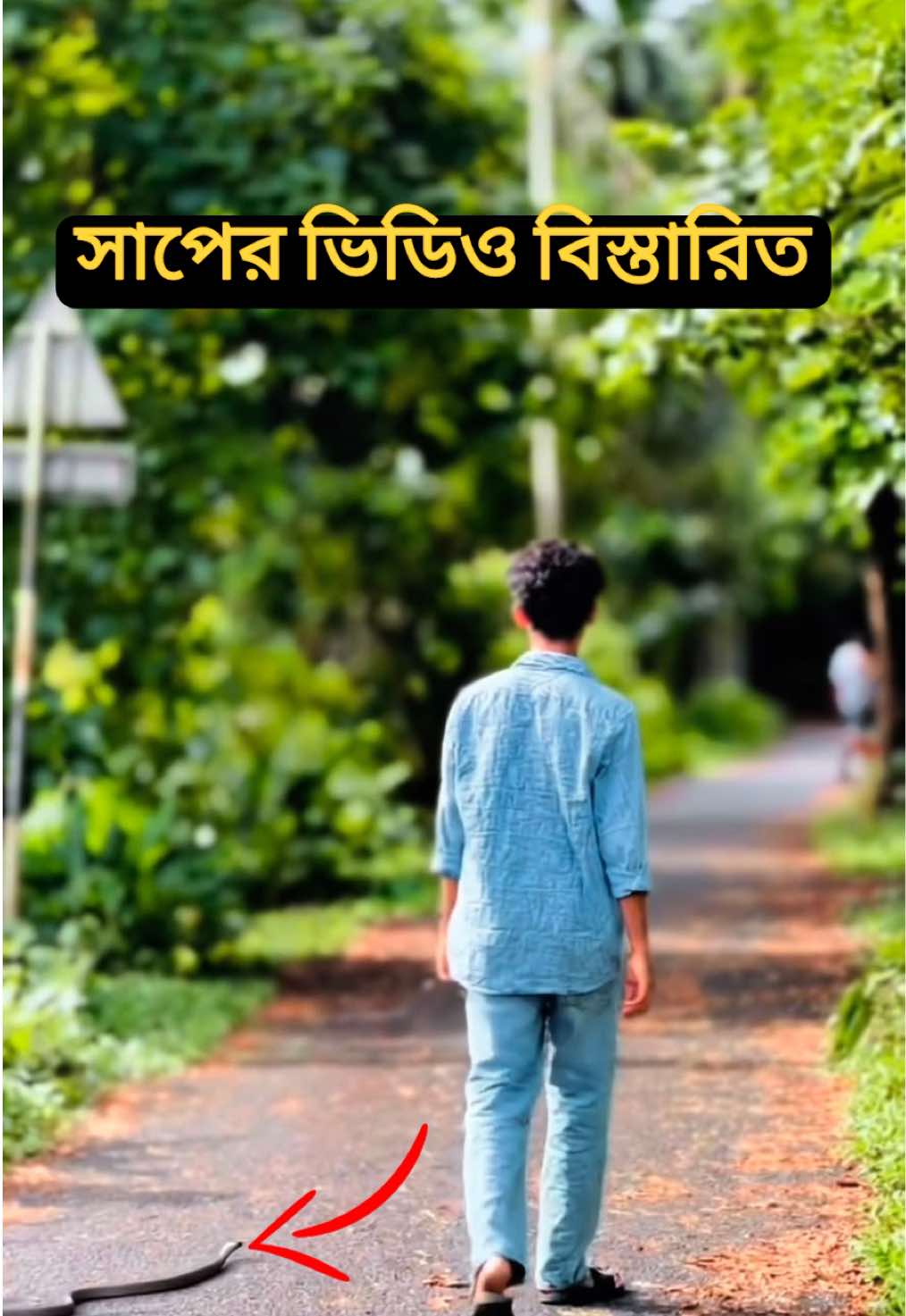 @It'z Toufiqur