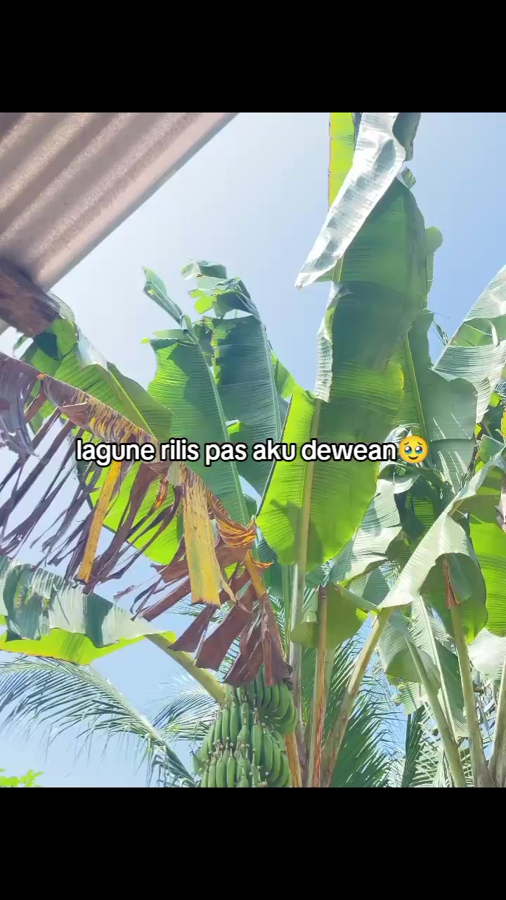 @denY🔫.