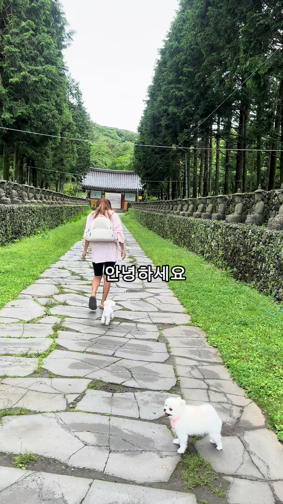 @jeju_kiki