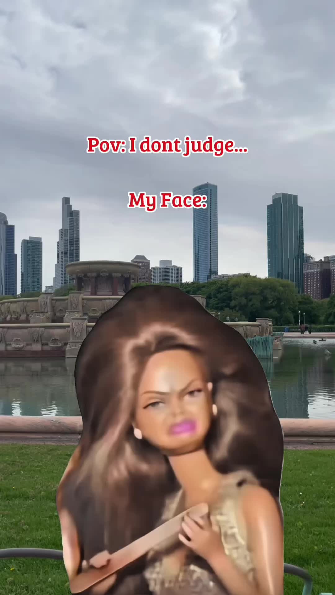 @chicagoviews312
