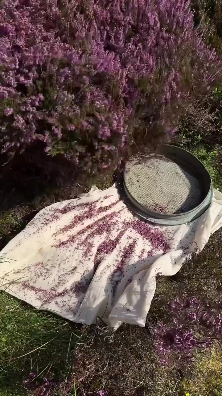 @Engormix