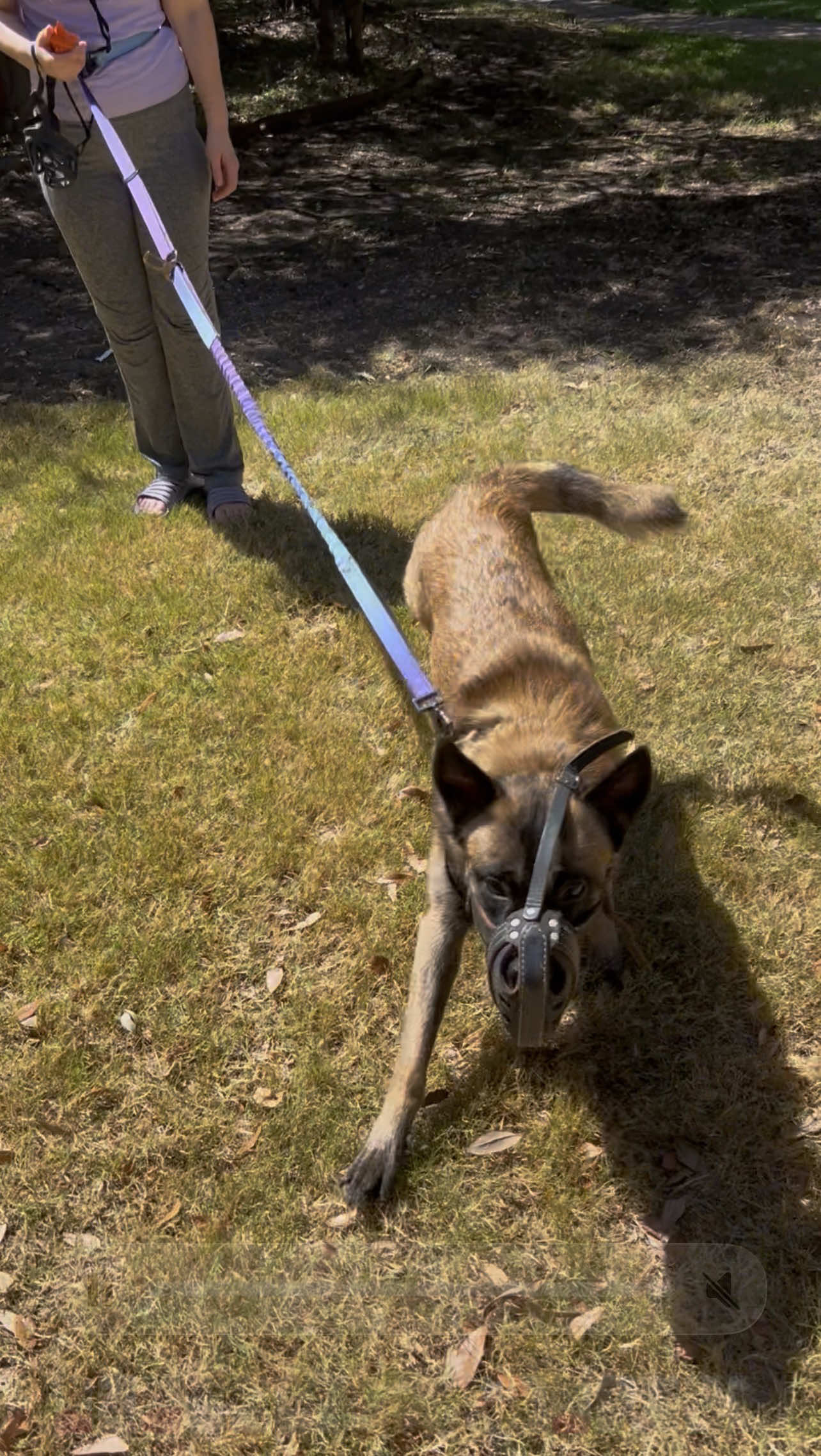 @HardBody K9 Training
