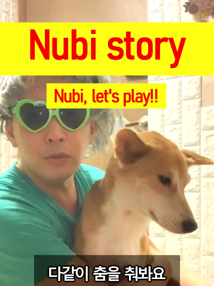 @누비★스토리 Nubi story