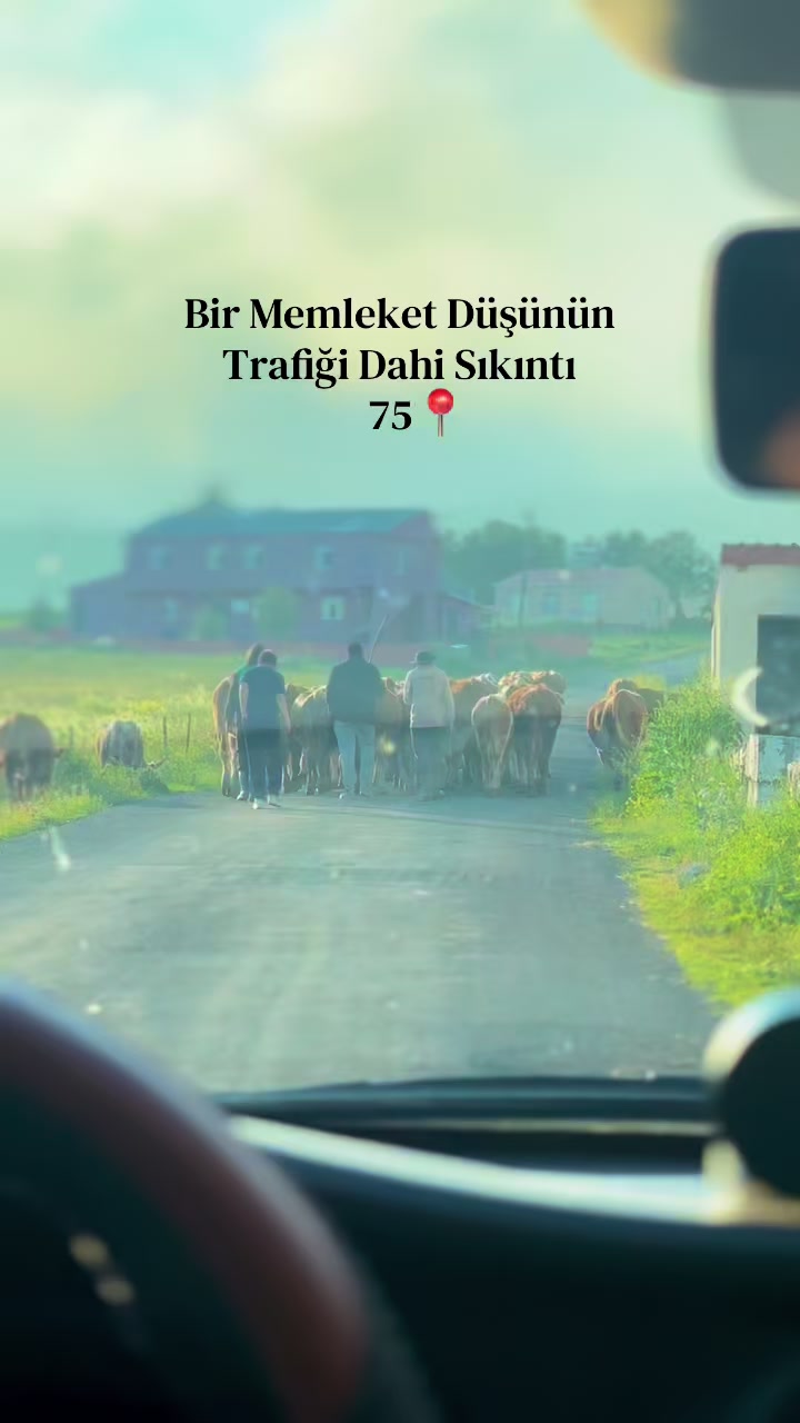 @KAAN ALTUCA