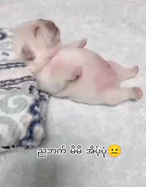 @๐๐๐พ๐ ๐๐๐๐ฒ๐