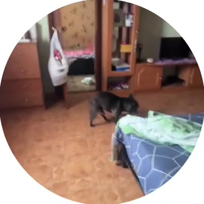 @lil&rsquo; mamiii 🐈&zwj;⬛