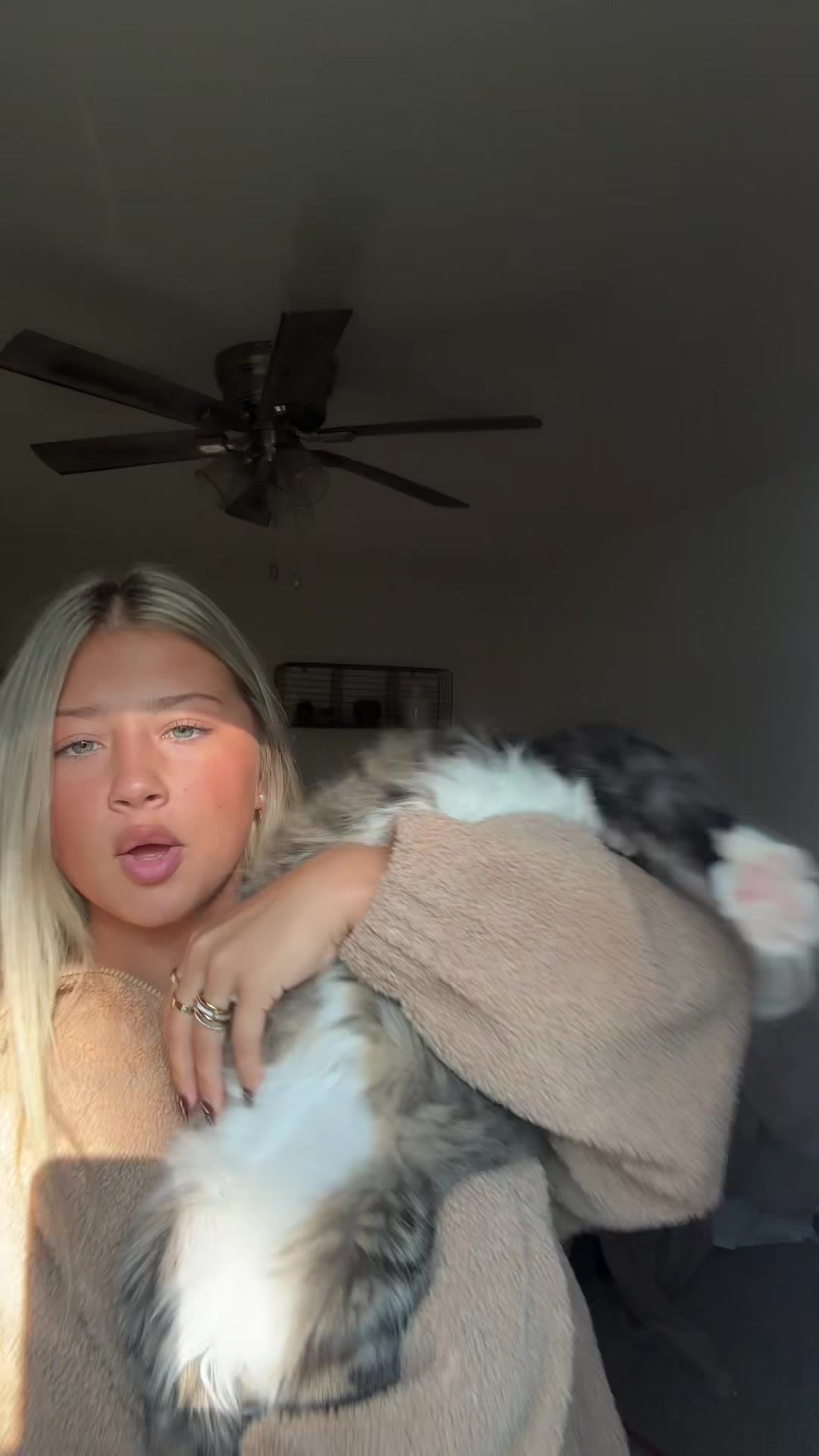 @spamy.lyla