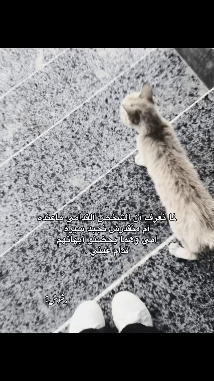 @﮼بَ | ١٤٢٣هـ .