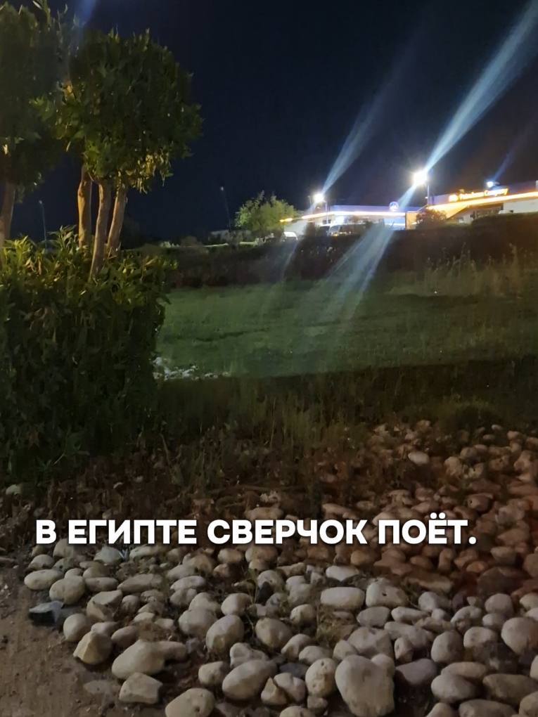 @Татьяна.Шарм Эль Шейх.
