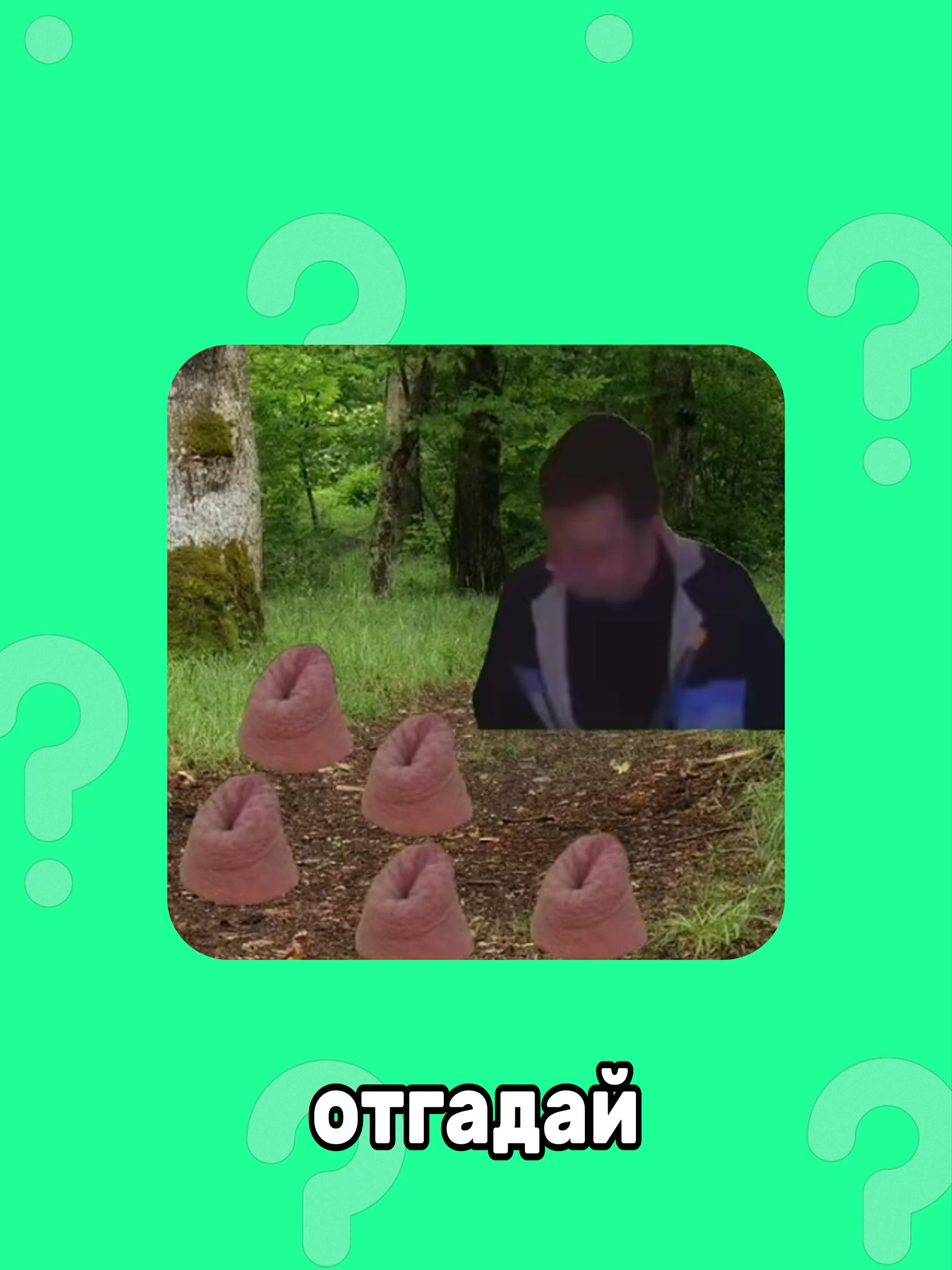 @quizlix12
