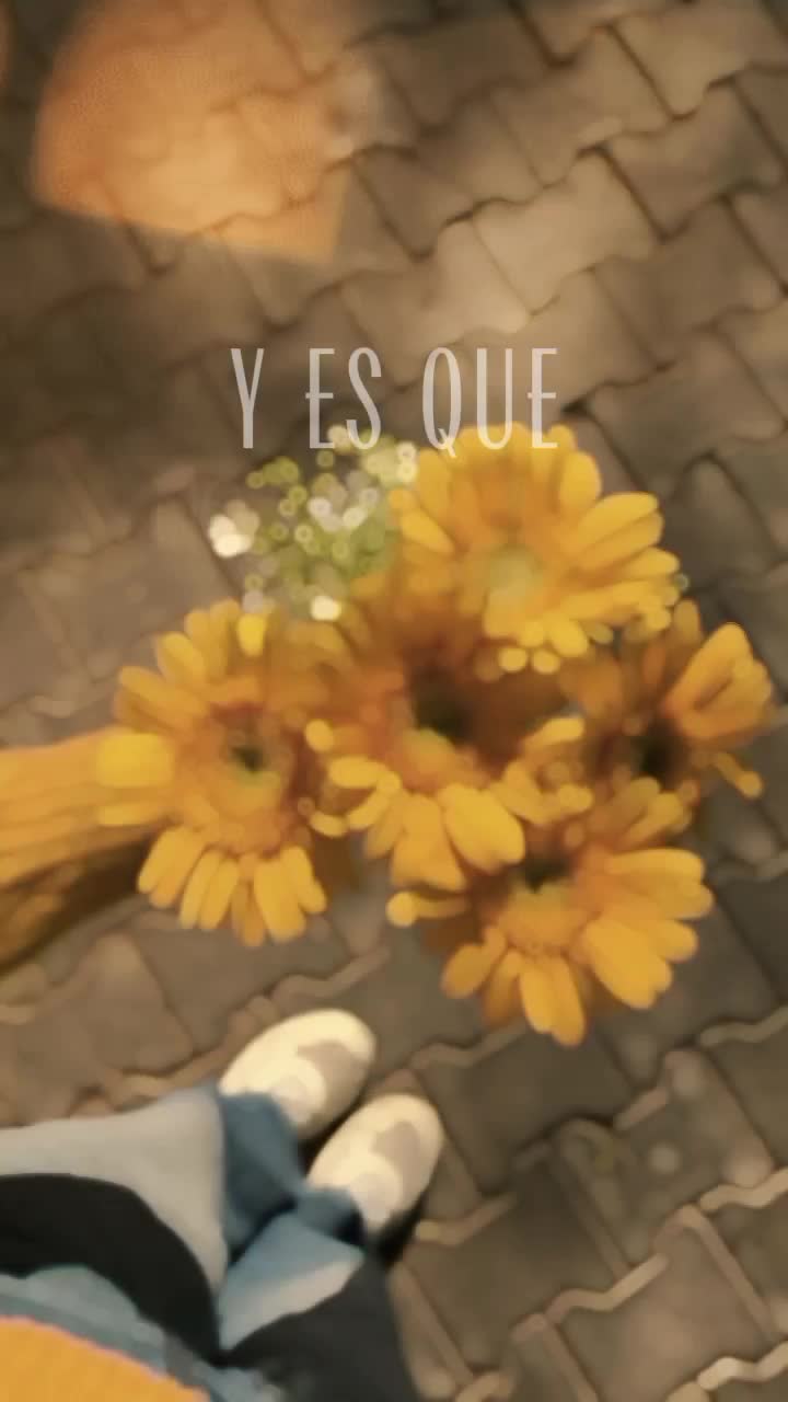 @𝐋𝐚𝐮𝐫𝐚 𝐀𝐫𝐯𝐢𝐳𝐮