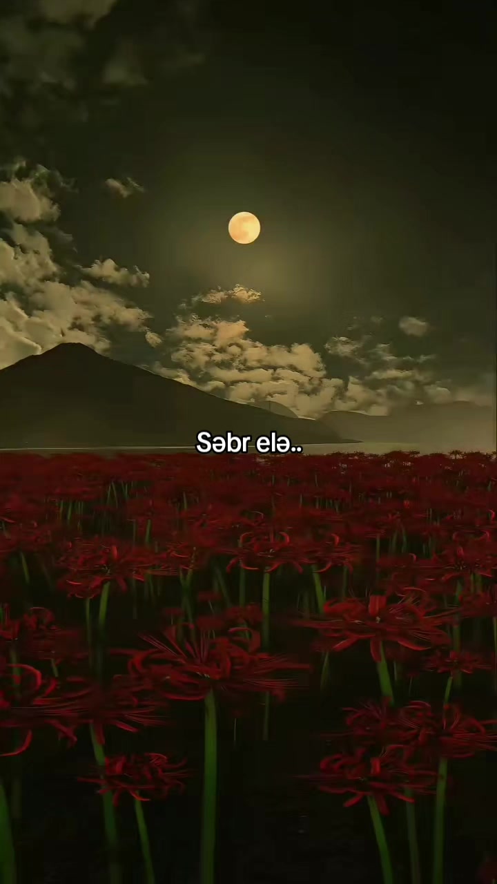 @𝐒𝐚𝐛𝐫_𝐘𝐨𝐥𝐮🌸🕋