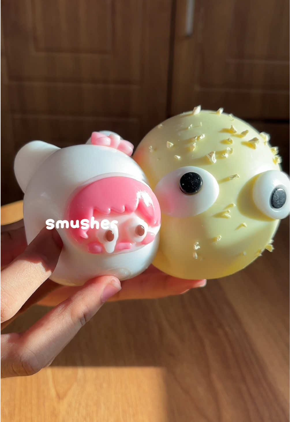 @xeinchi