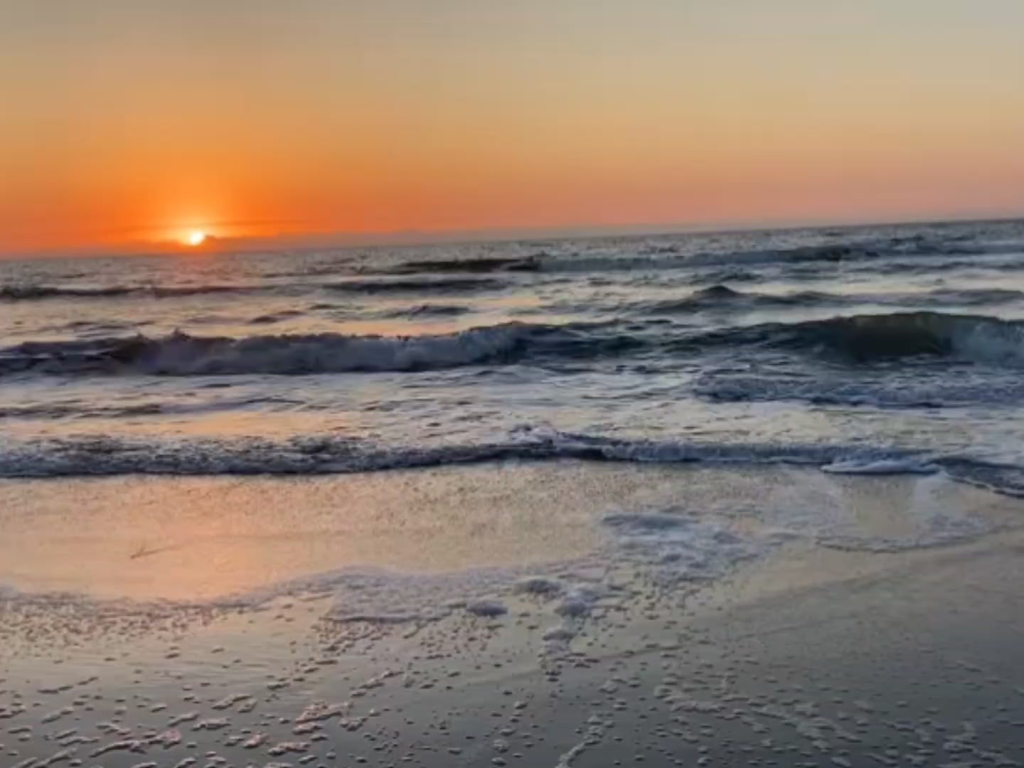 @𝐌𝐮𝐬𝐭𝐚