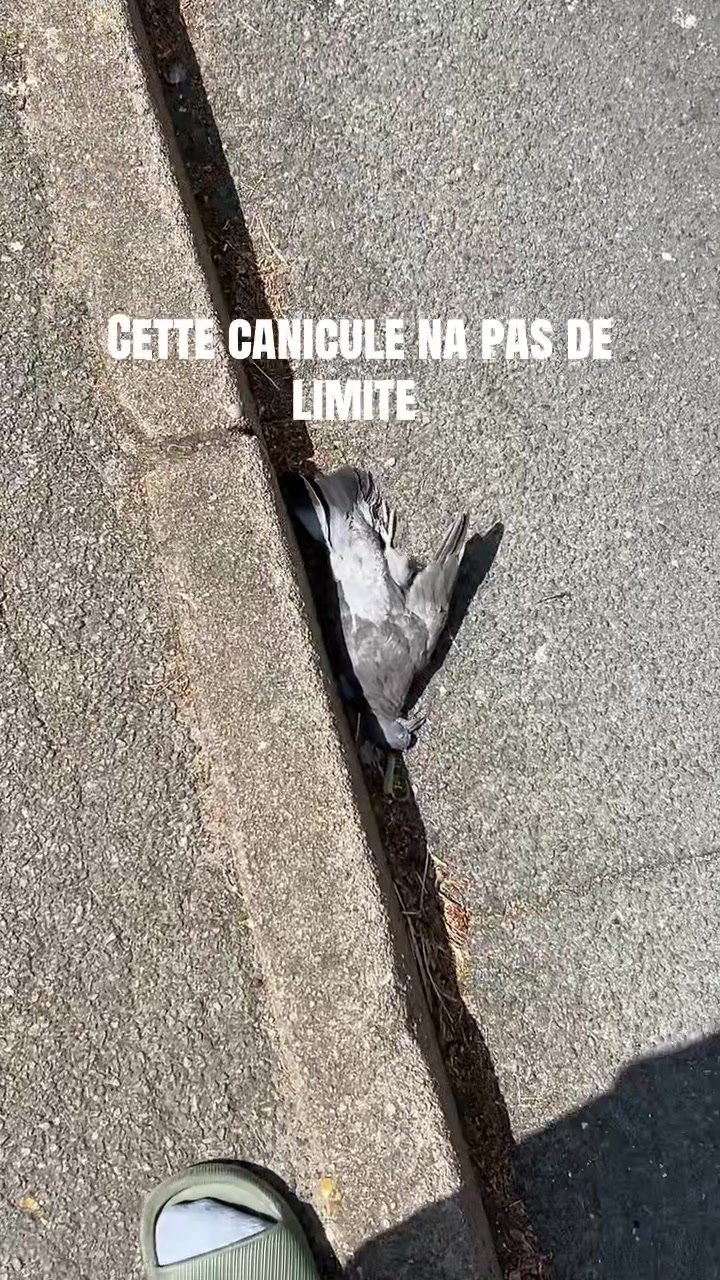 @Oumar opk Kourouma