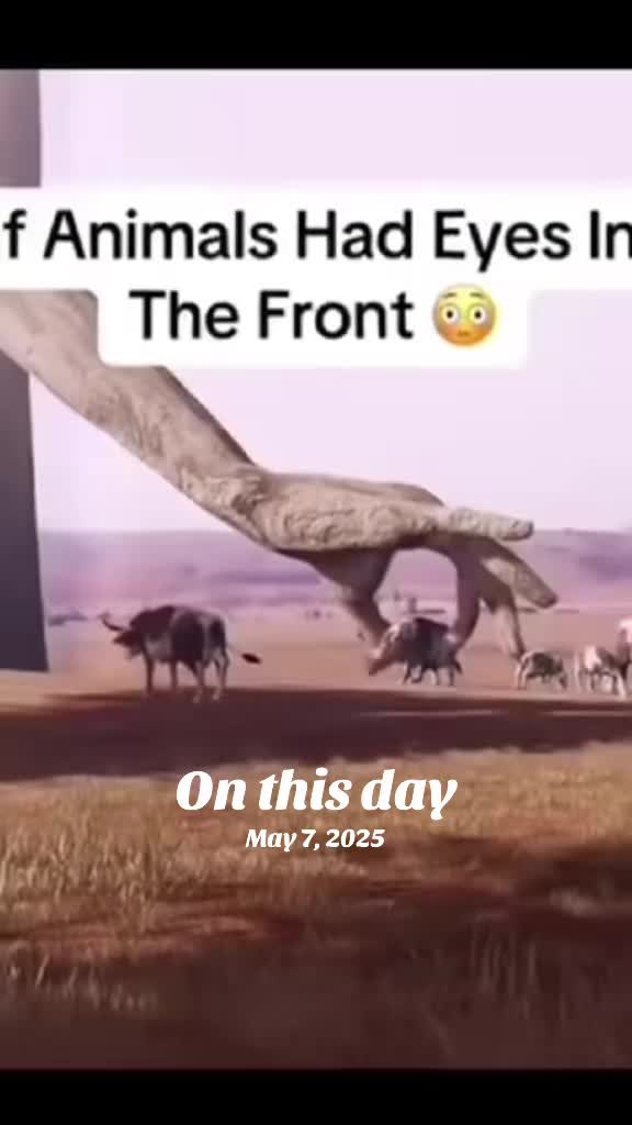 @rdc_artistreviews_edits