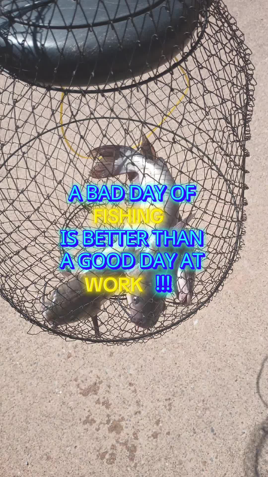 @papasmurf