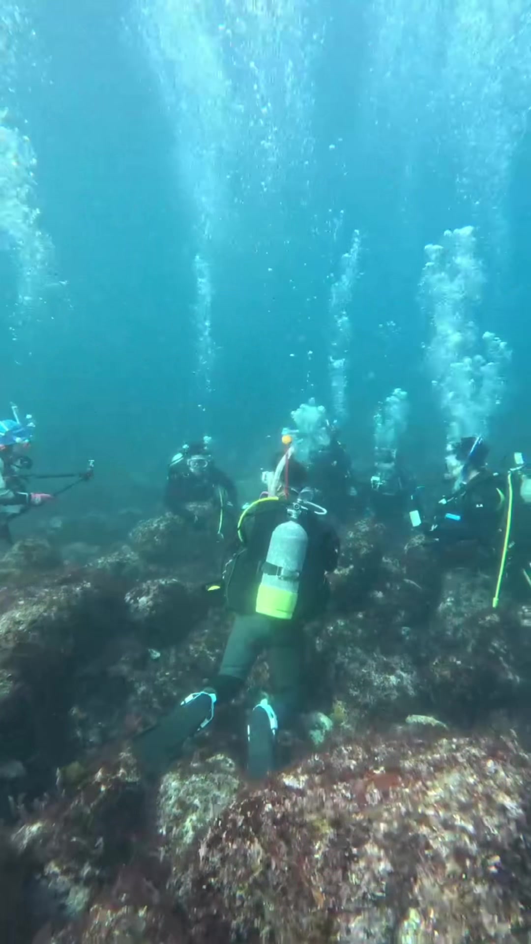 @TCA東京ECO動物海洋専門学校