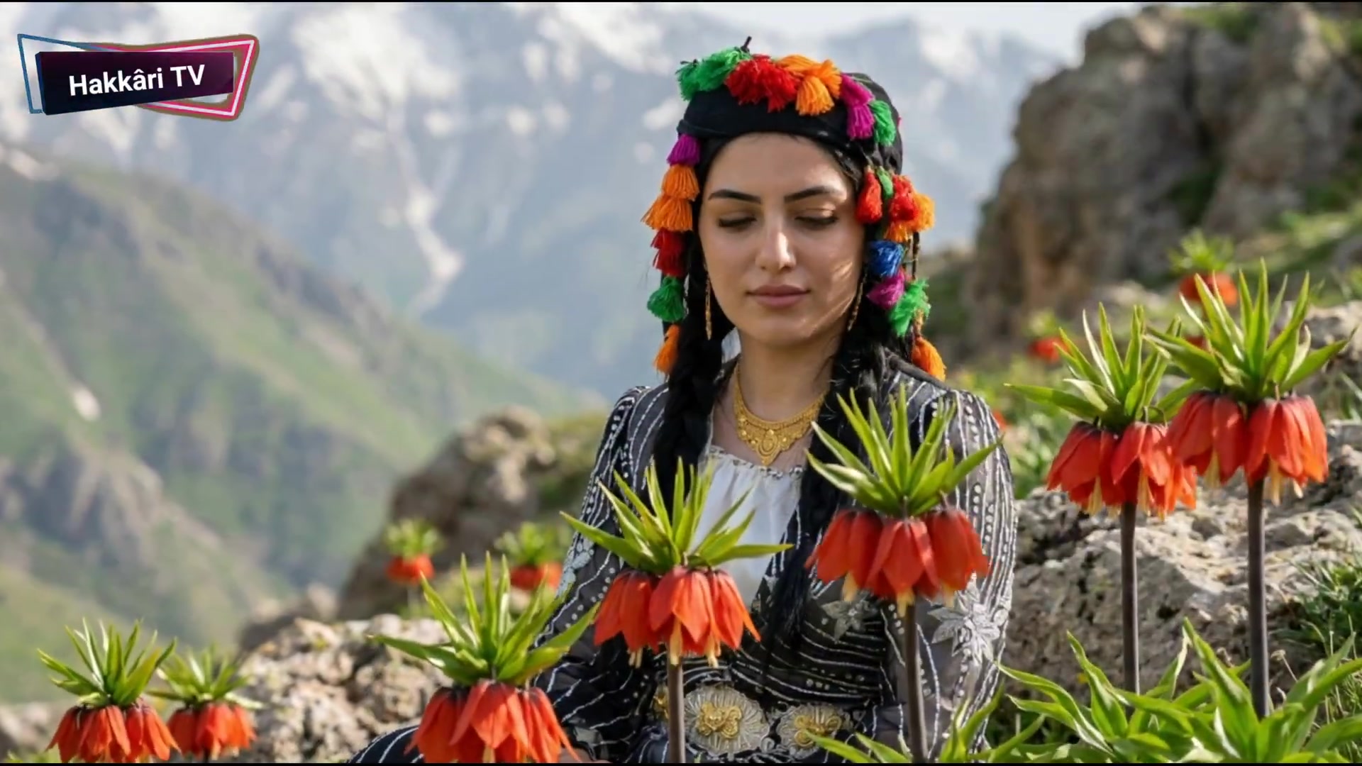@Hakk&acirc;ri TV