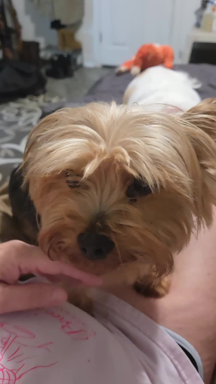 @Karla