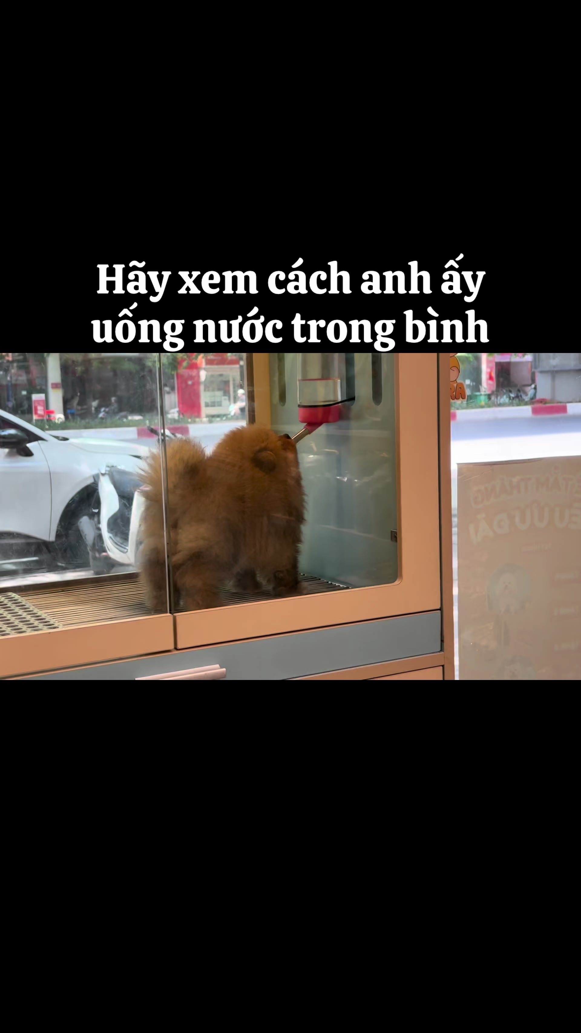 @PetHouse - Thế giới Pet