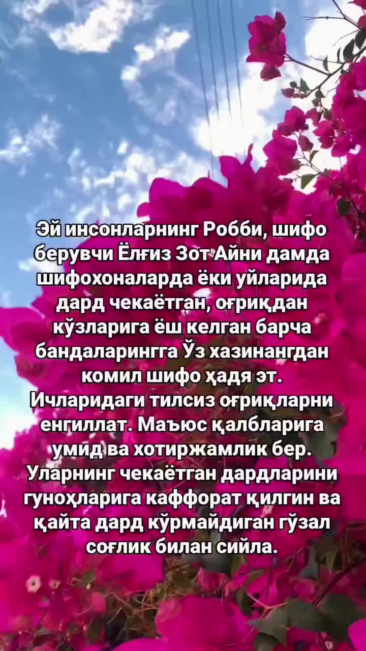 @shahnoza_070