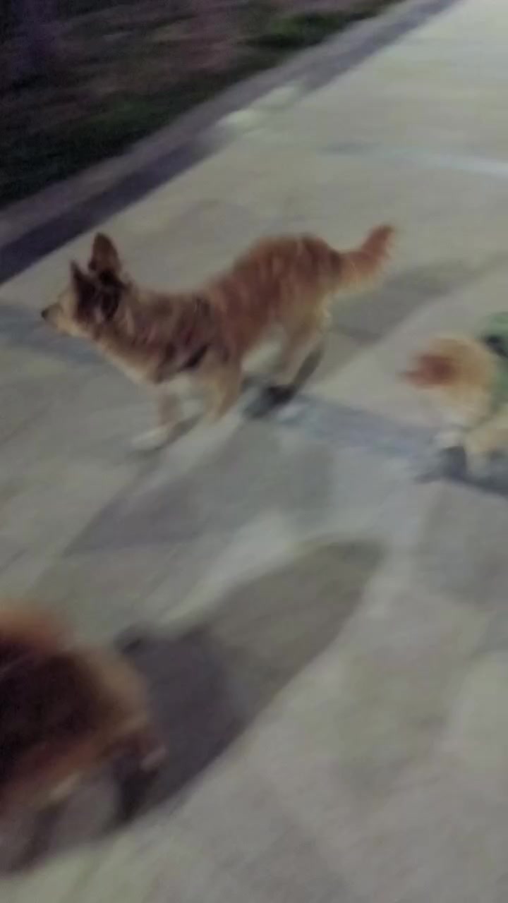 @꧁࿇乃丨ㄚ丨Ҝㄥ丨࿇꧂