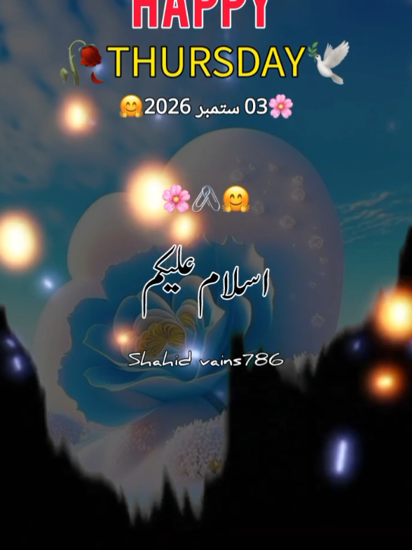 @اردو شاعری 🦋