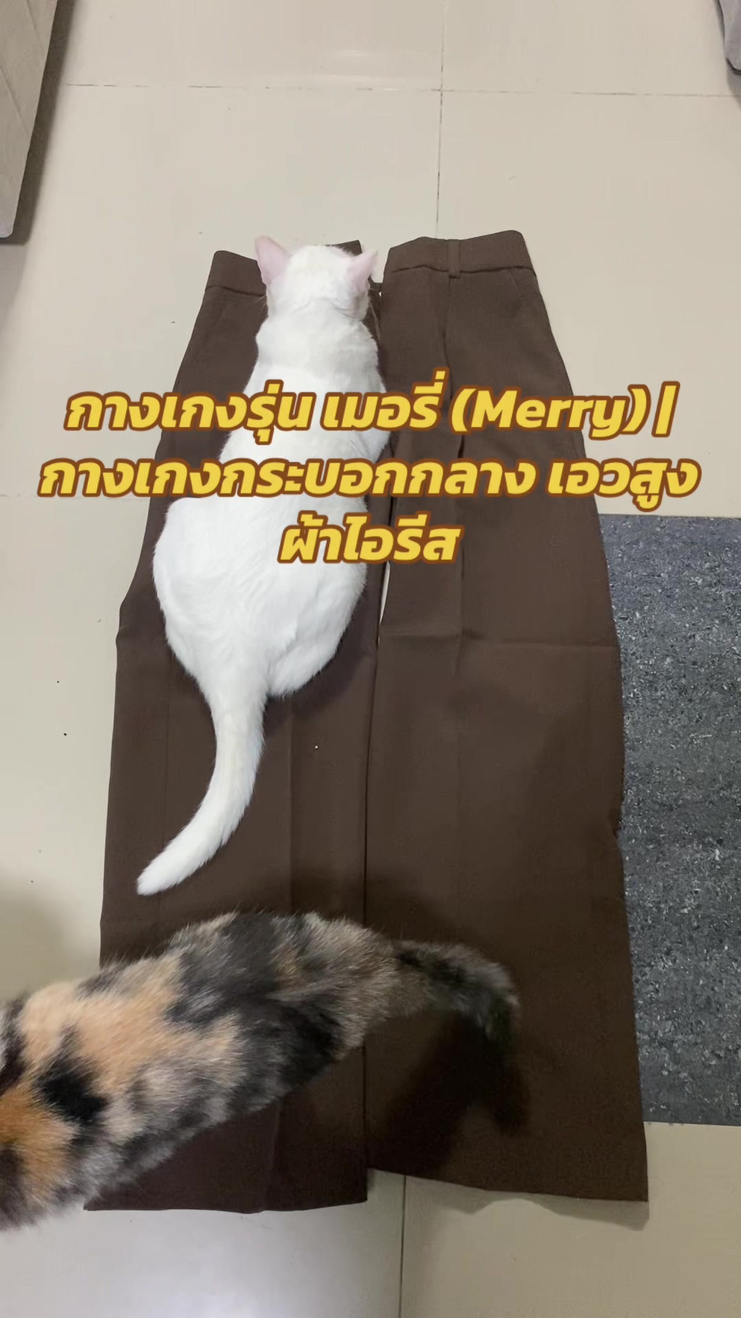 @luxsiriwan21