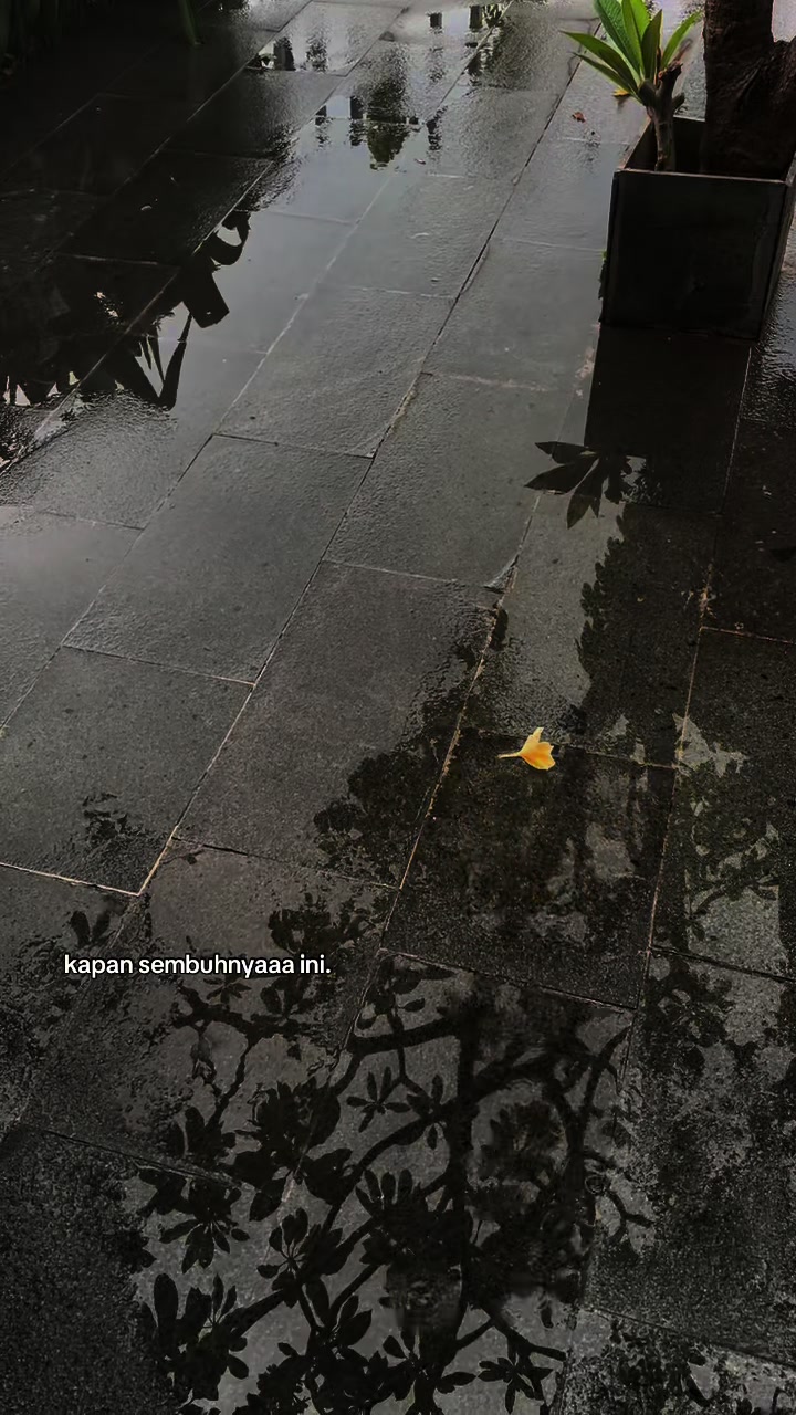 @𝗗𝗶𝗮𝗻𝘆